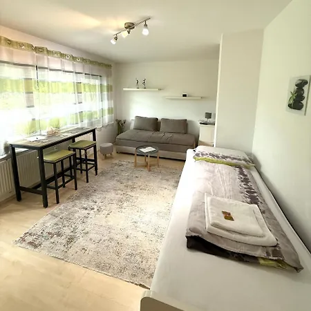 Appartement Ruhige Und Gruene Terassenwohnung Wiesbaden